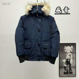 Picture of Canada Goose Down Jackets _SKUCanadaGooseXS-XL26yr8537788
